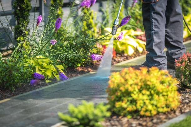 Best House Exterior Washing  in Philadelphia, PA